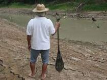 До критического снизился уровень воды в реке Амазонка