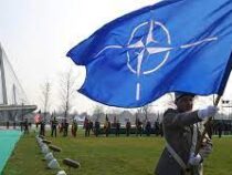 В НАТО раскрыли причину отказа альянса от помощи Зеленскому