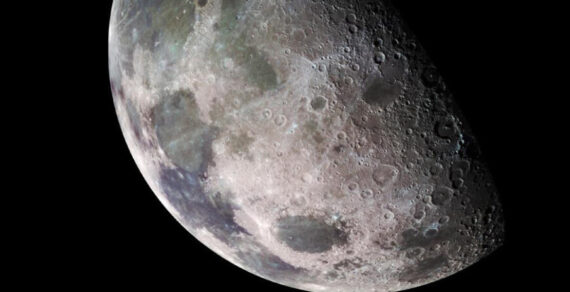 Австралийские ученые планируют вырастить растения на Луне