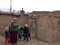 Кыргызстану окажут поддержку для преодоления бедности