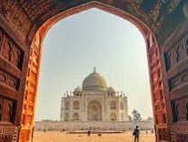 Индия отменила все коронавирусные ограничения для туристов