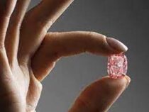 Розовый бриллиант ушел с молотка почти  за 29  млн  долларов