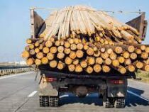 Греция ввела временный запрет на вывоз дров из страны