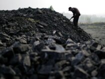В Кыргызстане ввели временное госрегулирование цен на уголь