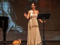 Две кошки вышли на сцену оперного театра в Стамбуле и рассмешили зрителей