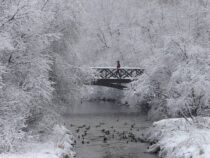 Снежным и очень холодным будет конец этой недели в Бишкеке