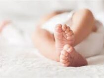 В Минцифры назвали самые популярные имена для новорожденных