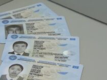 Граждане Узбекистана и Кыргызстана смогут въезжать в страны по ID-карте