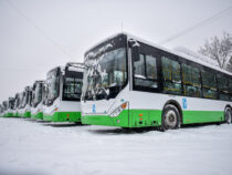 Все новые автобусы, купленные мэрией, поступили в Бишкек
