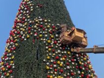 В Бишкеке начали демонтировать новогоднюю елку