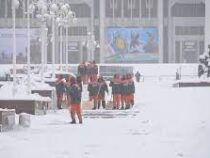 Ташкент завалило снегом