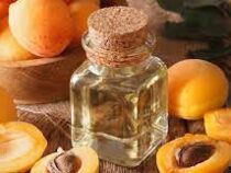 В Баткенской области открыли цех по производству абрикосового масла