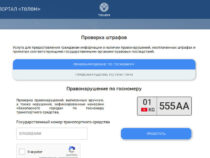 В Кыргызстане запущен портал «Төлөм»