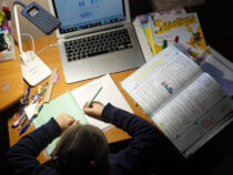 Три школы в Бишкеке перешли на онлайн-обучение