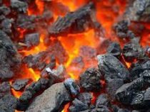 Уголь по 4 тысячи сомов за тонну будут продавать по паспорту