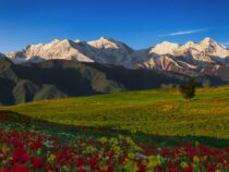 Первые дни весны в Кыргызстане  будут  очень комфортными