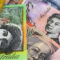В Австралии заменят на банкнотах портрет королевы Елизаветы II