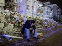 Число жертв землетрясений в Турции превысило 44 тысячи человек