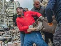 Количество жертв землетрясения в Турции увеличилось до 12 391 человека
