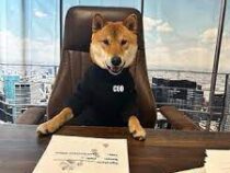 Маск назначил гендиректором Twitter собаку