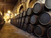 Виноделы Бордо будут вынуждены вылить излишки вина из-за снижения спроса