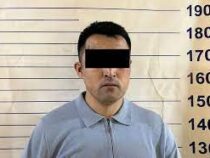 Задержан подозреваемый в убийстве женщины и двух ее детей  в Бишкеке