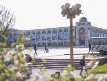 До конца марта осадков в Бишкеке не ожидается
