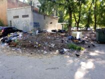 Директор «Тазалыка» обещает устранить завалы мусора в Бишкеке в течение суток