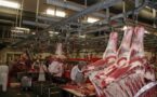  В Нарынской области построят мясокомбинат