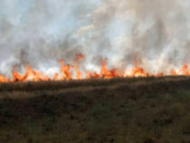 МЧС призывает фермеров быть осторожными с огнем