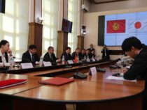 Япония выделит Кыргызстану более пяти миллионов долларов