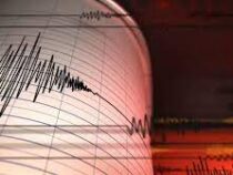 В Нарынской области произошло землетрясение
