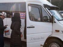 Передвижение маршрутных такси в Бишкеке теперь можно отслеживать в телефоне