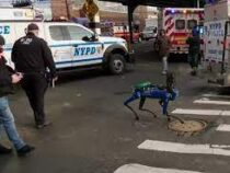 Роботы заступят на службу в полиции Нью-Йорка