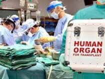 В Казахстане предложили легализовать продажу органов для трансплантации