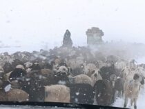 В Ат-Башинском районе ввели режим ЧС — из-за снегопада