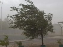 МЧС предупреждает об опасном усилении ветра в Чуйской области