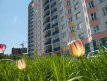 Бишкекчанам  пообещали сухую и жаркую погоду  в ближайшие три дня