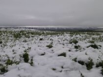 В некоторые районы Иссык-Куля и Нарына вернулась зима
