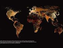 Создана карта всех дорог мира