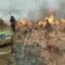 Пожары в Боомском ущелье нанесли ущерб более чем на 10 млн сомов