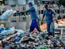 Переработка пластика может сделать его токсичнее