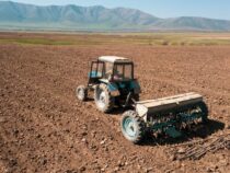 В Кыргызстане из-за засухи снизились темпы проведения весенне-полевых работ