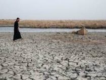 Засуха привела к массовому оттоку населения в Ираке