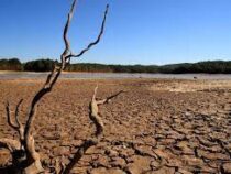 Во Франции наступила ранняя летняя засуха