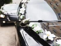 Во Франции свадебный кортеж 27 раз нарушил правила дорожного движения