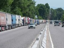 На кыргызско-казахской границе наблюдается скопление грузовиков