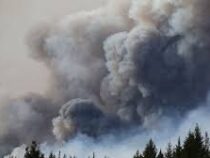 К тушению лесных пожаров в Канаде привлекут армию