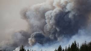 К тушению лесных пожаров в Канаде привлекут армию