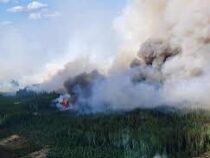Столицу Канады накрыло смогом от лесных пожаров
